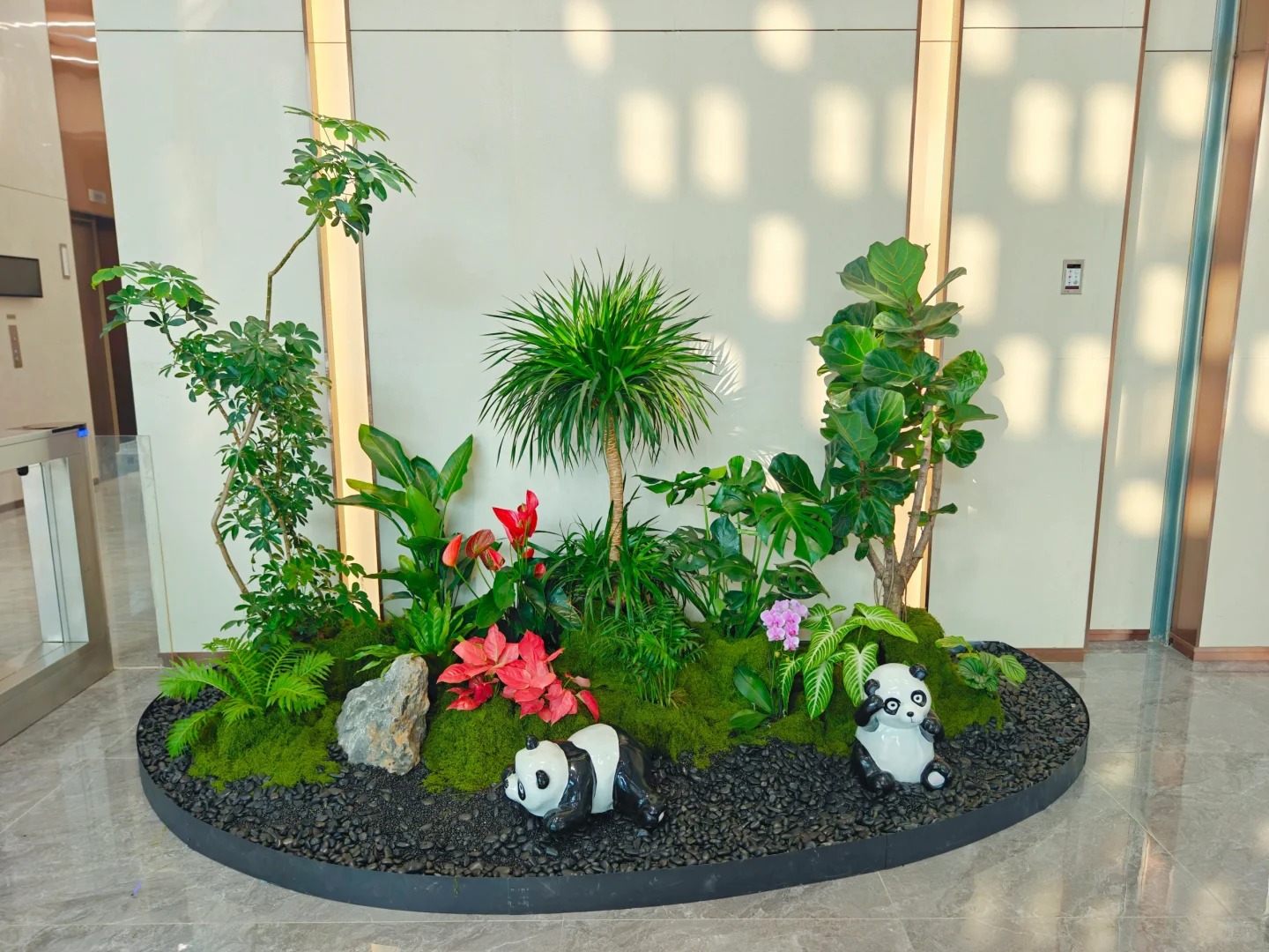 专业植物租赁，宁波镇海的绿色新选择