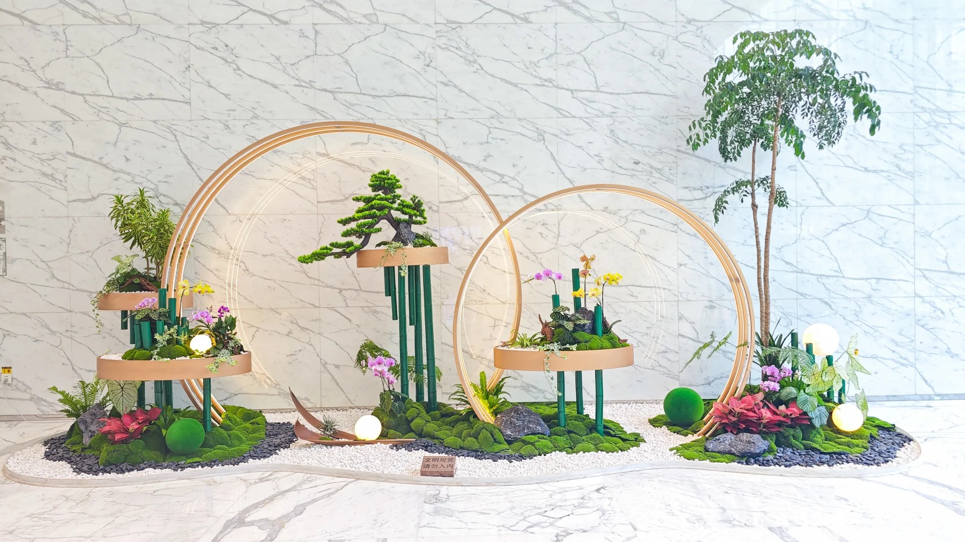 专业花卉租摆，领略宁波慈溪的绿色风情